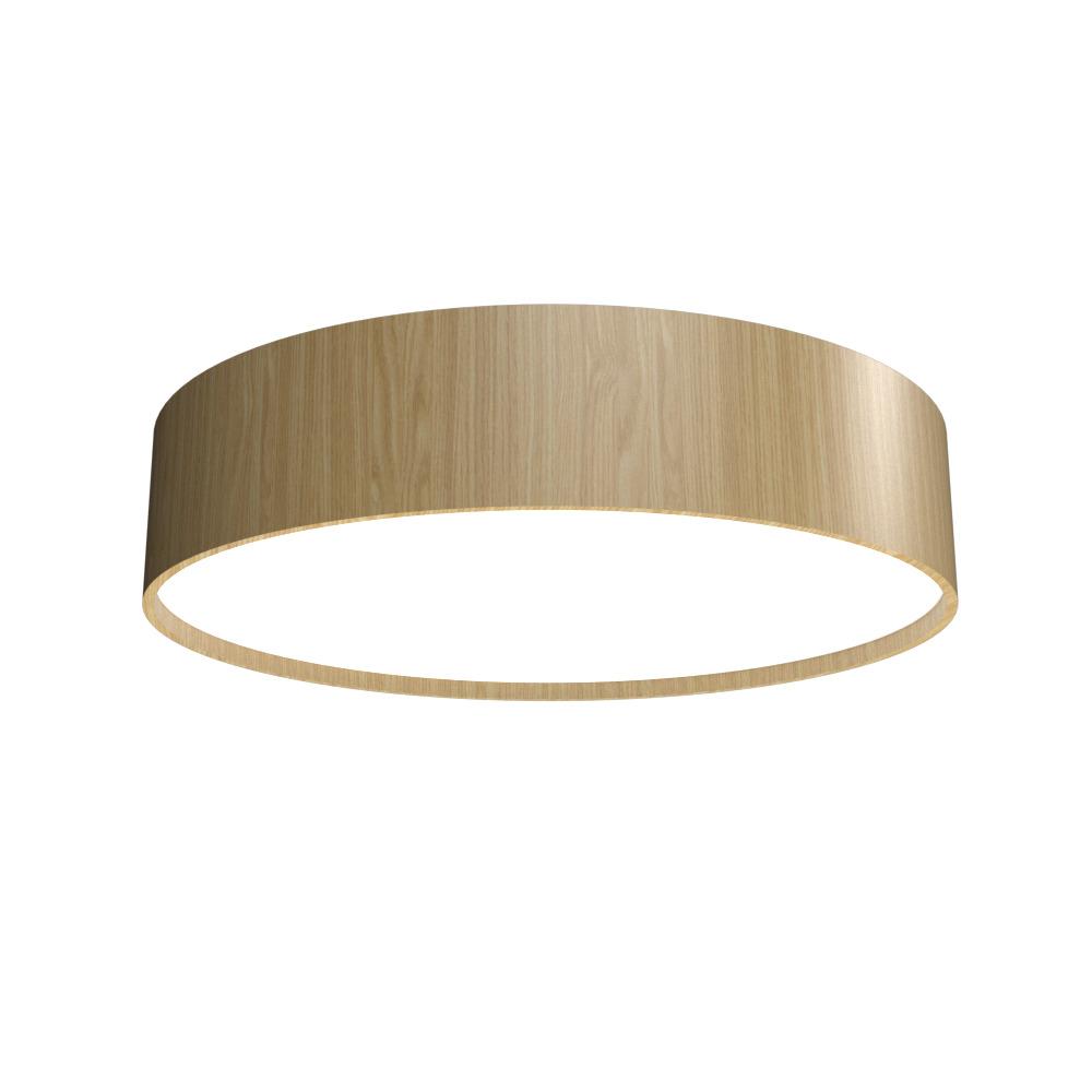Cylindrical Accord Ceiling Mounted 5013 LED
